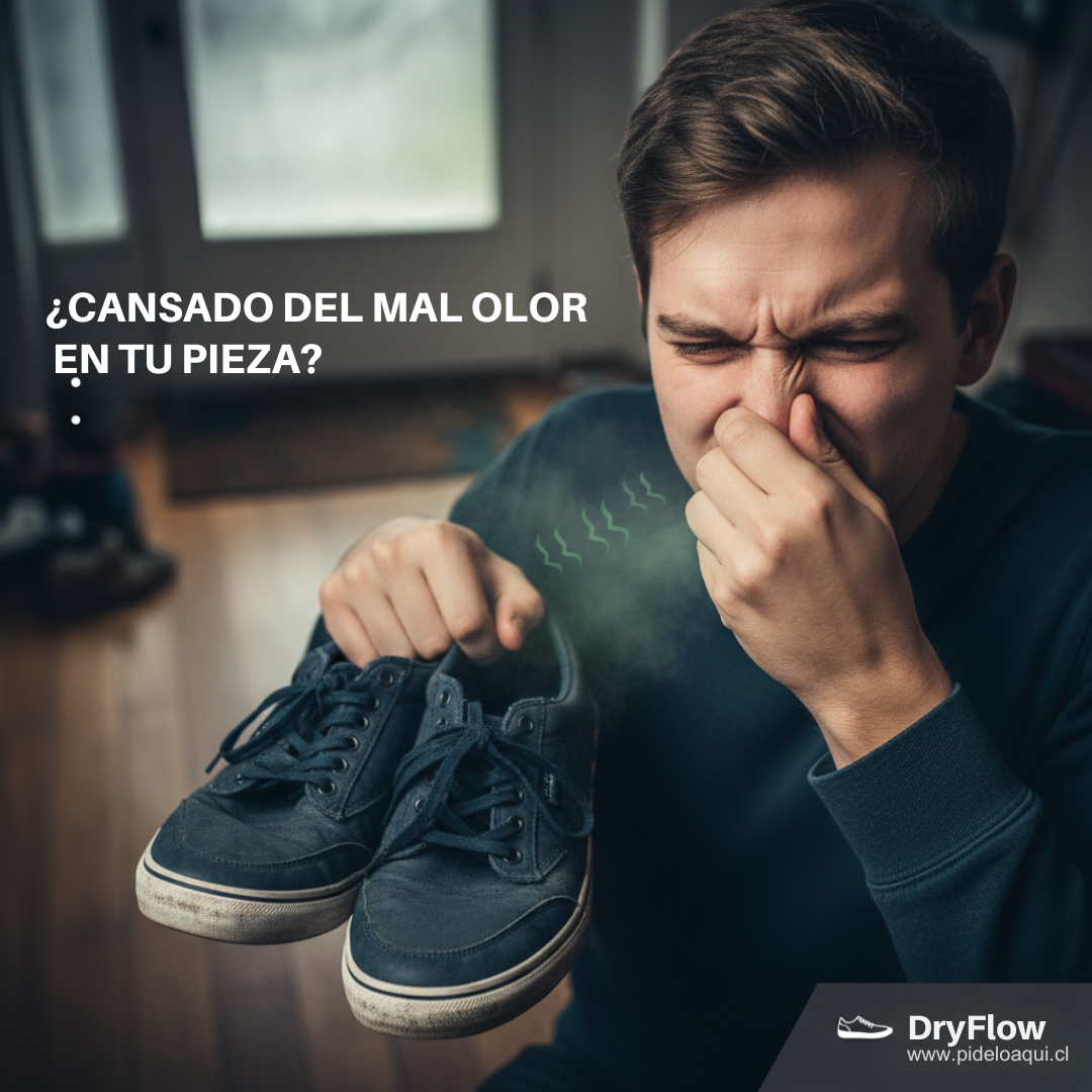 DryFlow® Secador de Zapatillas